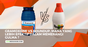 Gramoxone vs Roundup