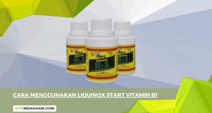 Cara Menggunakan Liquinox Start Vitamin B1