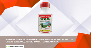 Manfaat dan Dosis Insektisida Marshal 200 SC Untuk Cabai, Bawang, Jeruk, Tomat, Dan Lainnya
