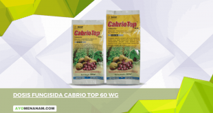 Fungisida Cabrio Top 60 WG