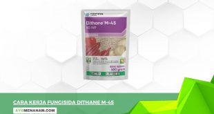 Cara Kerja Fungisida Dithane M-45