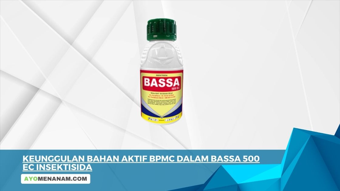 Keunggulan Bahan Aktif BPMC dalam BASSA 500 EC Insektisida
